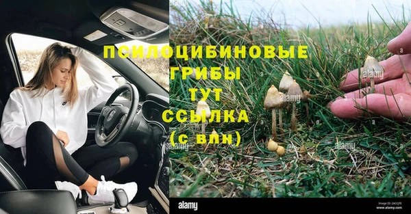 крисы Кинешма