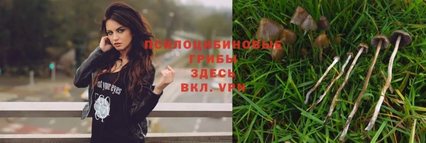 крисы Кинешма