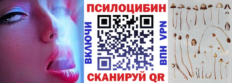 Псилоцибиновые грибы Psilocybine cubensis Ленинградская