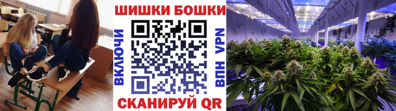 Шишки марихуана сатива Ленинградская